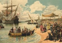 Колонизация Бразилии – три столетия на пути к независимости Колонизация Бразилии