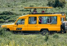 Сафари в Африке: туры Altezza Travel для любителей комфорта Сафари в Африке