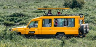 Сафари в Африке: туры Altezza Travel для любителей комфорта Сафари в Африке