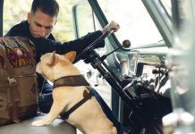 ТОП-6 универсальных мужских рюкзаков для города и спорта Мужские городские рюкзаки