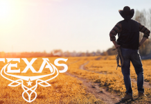 История Texas Jeans Texas Jeans