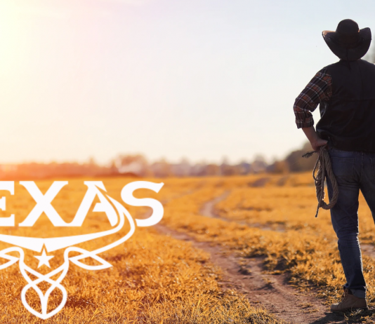 История Texas Jeans Texas Jeans