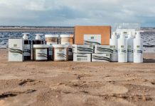 Сто лет пользы: как арктические водоросли стали настоящим богатством России Водорослевый комбинат