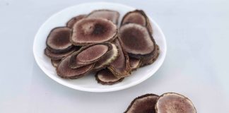 Панты марала польза и применение Панты марала польза и применение