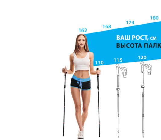 Как выбрать палки для скандинавской ходьбы Как выбрать палки для скандинавской ходьбы
