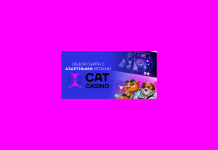 Обзор сайта с азартными играми Cat Casino Обзор Cat Casino