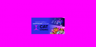 Обзор сайта с азартными играми Cat Casino Обзор Cat Casino