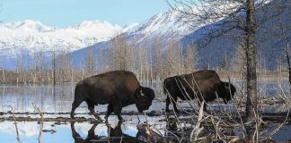 Топ-5 лучших мест для посещения в Якутии Лучшие места для посещения в Якутии