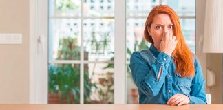 Как избавиться от запаха на диване Как избавиться от запаха на диване