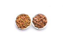 Что лучше: натуральный или сухой корм для собак? Натуральный или сухой корм для собак