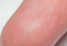 Открытие тайны папиллярных линий и индивидуальности их рисунка на ладонях у человека Тайна папиллярных линий