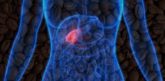 Правила употребления кофе при болезнях жёлчного пузыря Кофе и желчный пузырь