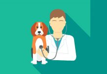 Исцеляющие руки доктора Григория Чарного: Стремление одного ветеринара спасти жизни и содействовать благополучию животных Григорий Чарный