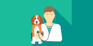 Исцеляющие руки доктора Григория Чарного: Стремление одного ветеринара спасти жизни и содействовать благополучию животных Григорий Чарный