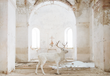 Галерея «PENNLAB» представляет выставочный проект художника и фотографа Игоря Елукова «Книга Чудес» Выставка Книга чудес фотографа Игоря Елукова