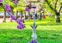 Кальян в личном пользовании это реально: запоминаем основные моменты перед покупкой Что нужно для кальяна на природе