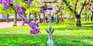 Кальян в личном пользовании это реально: запоминаем основные моменты перед покупкой Что нужно для кальяна на природе