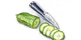 СберМаркет: в этот дачный сезон на участках россиян будут расти огурцы и астры. Спрос на дачные товары вырос в 2,2 раза Огурцы на даче