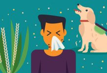 Процветающая тенденция: как справиться с сезонной аллергией Сезонная аллергия