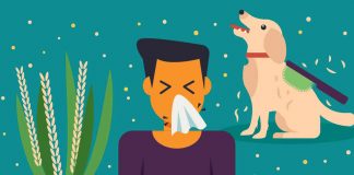 Процветающая тенденция: как справиться с сезонной аллергией Сезонная аллергия