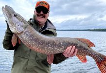 Тактика и снасти для ловли щуки на спиннинг Ловля щуки на спиннинг