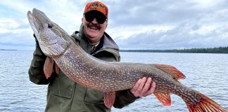 Тактика и снасти для ловли щуки на спиннинг Ловля щуки на спиннинг