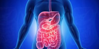 Заболевания желудочно-кишечного тракта: основные виды, симптомы, диагностика и принципы лечения Заболевания желудочно-кишечного тракта