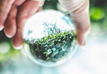 5 профессий будущего, обучаться которым нужно уже сейчас Биоэкология