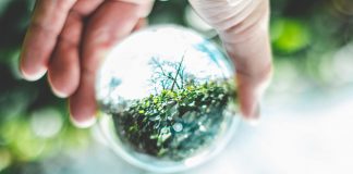 5 профессий будущего, обучаться которым нужно уже сейчас Биоэкология