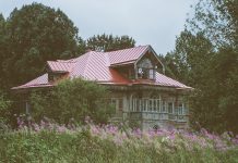 Проект «Консервация» проведет день открытых дверей Проект Консервация