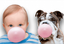 Жевательная резинка Amgum Жевательная резинка Amgum