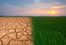 Адаптация российского сельского хозяйства к изменению климата: перспективы и вызовы Влияние изменения климата на сельское хозяйство