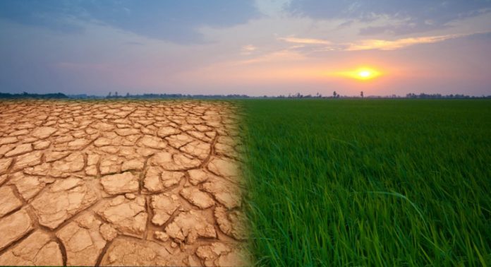 Влияние изменения климата на сельское хозяйство