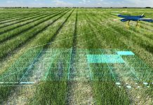 Как искусственный интеллект оптимизирует сельское хозяйство Искусственный интеллект в сельском хозяйстве