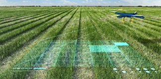 Как искусственный интеллект оптимизирует сельское хозяйство Искусственный интеллект в сельском хозяйстве