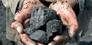 Лидеры металлургического угля: глобальный анализ Лидеры металлургического угля