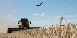 Планы и цели правительства России для развития сельского хозяйства Развитие сельского хозяйства в России