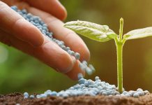 Положительное и отрицательное влияние минеральных удобрений на сельское хозяйство и окружающую среду Минеральные удобрения в сельском хозяйстве