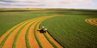 Потенциал и перспективы развития российского сельского хозяйства Российское сельское хозяйство