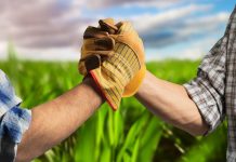 Преимущества сельскохозяйственных кооперативов: масштаб производства, экономия ресурсов и доступ к новым рынкам Сельскохозяйственные кооперативы