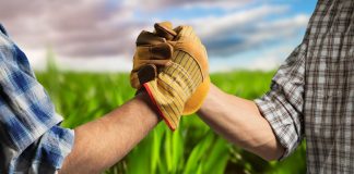 Преимущества сельскохозяйственных кооперативов: масштаб производства, экономия ресурсов и доступ к новым рынкам Сельскохозяйственные кооперативы