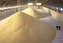 Развитие российского рынка удобрений: обзор и перспективы Российский рынок удобрений