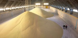 Развитие российского рынка удобрений: обзор и перспективы Российский рынок удобрений