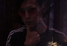 “Дневник лесного янгире” Алекса Мурова. Что таит показная жестокость Дневник лесного янгире