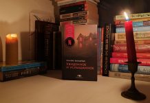“Увиденное и услышанное” Элизабет Брандейдж. Исключительно женский триллер Увиденное и услышанное