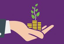 Почему все заинтересовались инвестициями в последние годы и реально ли на них зарабатывать, если ты не эксперт в финансах Инвестиция для начинающих