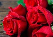 Почему дарят не четное количество цветов? Нечетное количество цветов