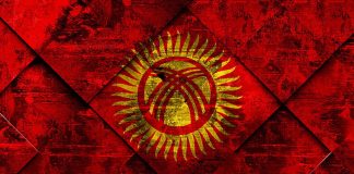 Что дает гражданство Киргизии россиянам: отзывы клиентов International Expert Гражданство Киргизии