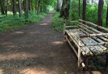 Сознание бессмертия Любимая скамейка Л.Н. Толстого в Ясной Поляне