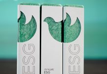 Продолжается прием заявок на участие в ежегодной Программе «Лучшие ESG проекты России» Лучшие ESG проекты России 2024